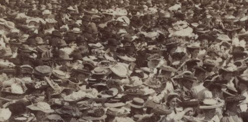 Crowds hats roosevelt detail