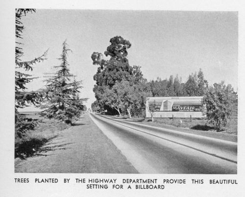 California roadside a258