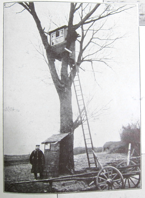 WWI Project tree house 1914
