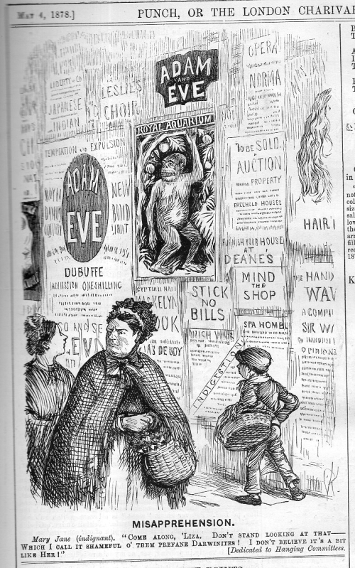 Punch darwin adam and eve 1878813