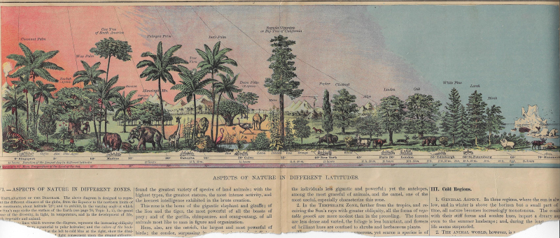 Map view of prehistoric times