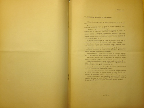 Auschwitz_17_ Auschwitz_17_