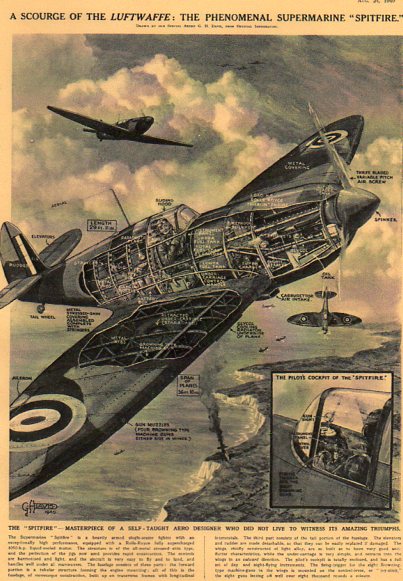 Aircraft cross section Spitfire