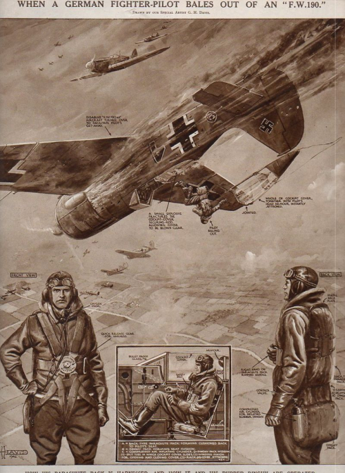 Aircraft Cross section FW 190 Aircraft Cross section FW 190