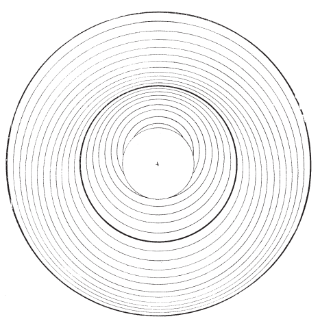 FOUND ABSTRACT ART 1892 nATURE CIRCLES