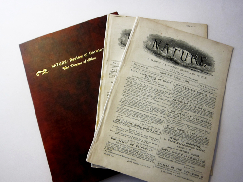 Darwin descent review