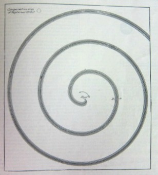 Sci Am Algol eclipse
