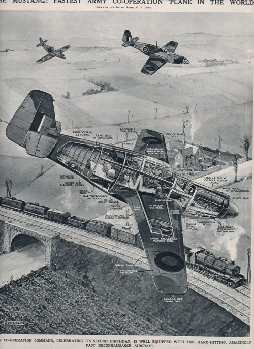 Aircraft cross section Mustang