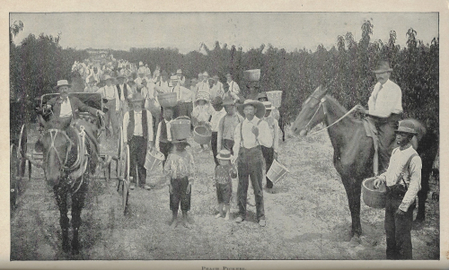 Georgia resources _2_ Georgia resources _2_