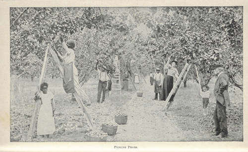 Georgia resources _2_ Georgia resources _2_