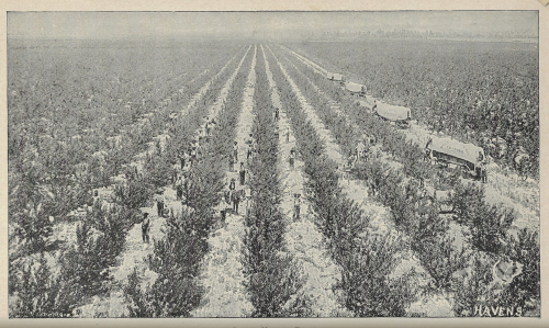 Georgia resources _3_ Georgia resources _3_