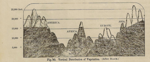 Mountain cross section Houston _2_ Mountain cross section Houston _2_