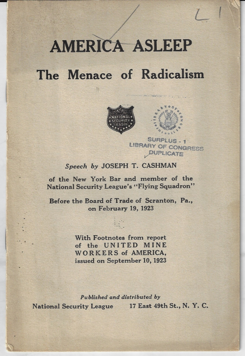 Books covers america asleep