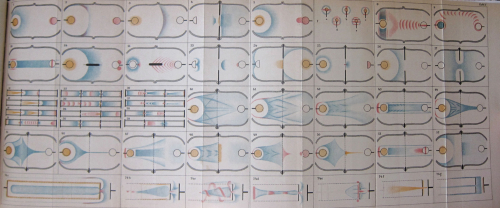 Annalen Art 1902 _1_ Annalen Art 1902 _1_