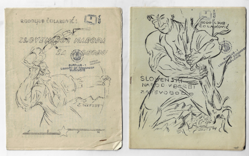 Yugoslavian freedom fighter