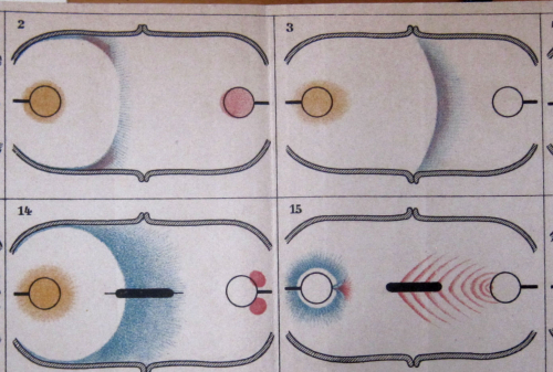 Annalen Art 1902 _3_ Annalen Art 1902 _3_