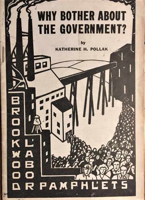 Books covers why bother the government