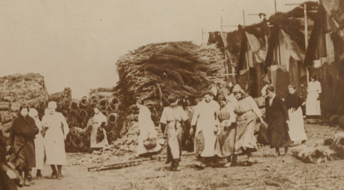 WWI Photos camouflage detail _2_ WWI Photos camouflage detail _2_