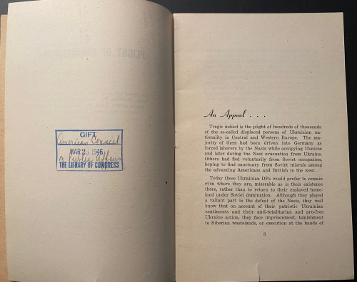 Ukrainian DP _5_ Ukrainian DP _5_