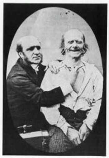 Insane_darwin_electrical