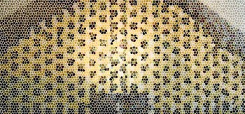 Mine_stained_glass Mine_stained_glass