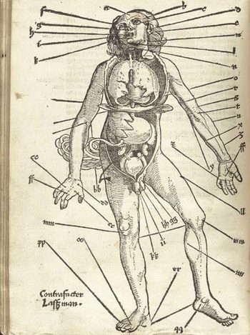 Gersdorffx400jpg_other_2