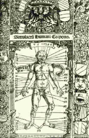 Blogbloodletting_stoeffler