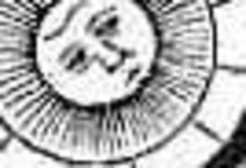 Blogsunfacedetailone