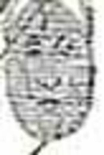 Blogsunfacedetailthree