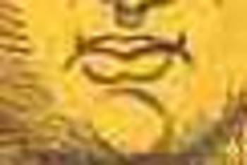 Blogsunfacesdetailtwo