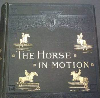 Creditstillman Creditstillman