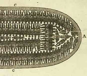 Blogslavery_brookes1 Blogslavery_brookes1