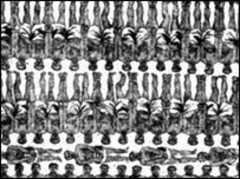 Blogslavery_brookes_2 Blogslavery_brookes_2