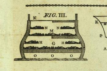 Blogslaverycross_section Blogslaverycross_section