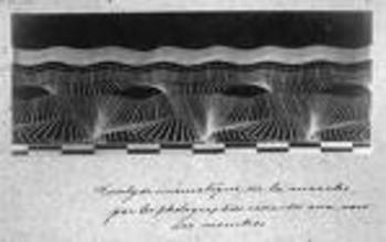 Blogmssing_marey_2 Blogmssing_marey_2