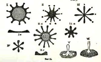 Blogstopping_thing_splash087_detail