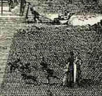 Bloglooking_closely_1__carriage_2