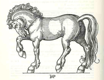 Blogmodel_bookhorses129