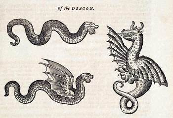 Topselldragon Topselldragon