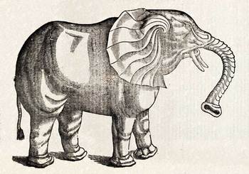 Topsellelephant Topsellelephant