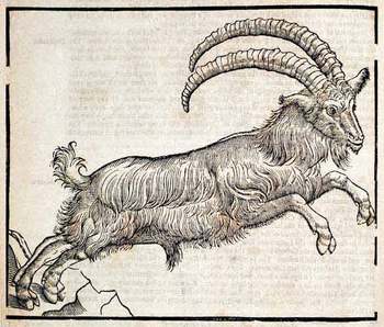 Topsellibex Topsellibex