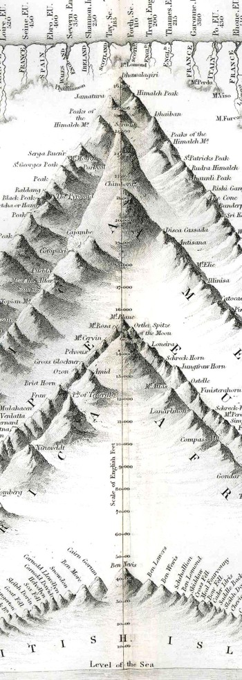 Blogjuly_19comparative_1836_detail_