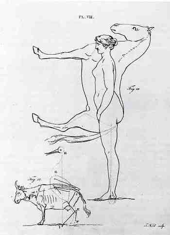 Blogjuly_29camper360