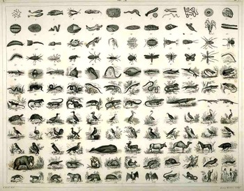 Blogaugust_21_order_of_life421