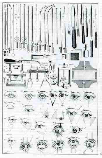 Blogaugust_22_blasius424