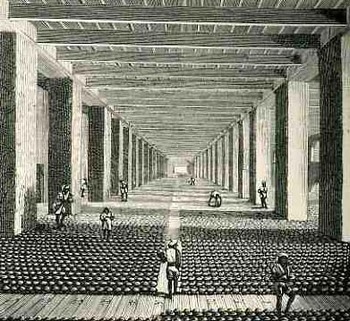 Blogaugust_25_opium_long445 Blogaugust_25_opium_long445