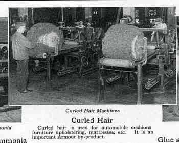 Blogsept3_hair485 Blogsept3_hair485