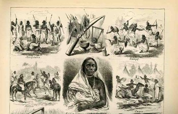 Blogsept5_human_zoo_top498_2