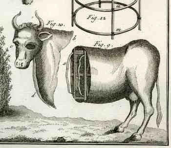 Blog1sept_6_blank_det510 Blog1sept_6_blank_det510