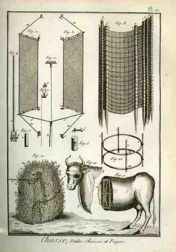 Blog1sept_6_blank_fulkl509 Blog1sept_6_blank_fulkl509